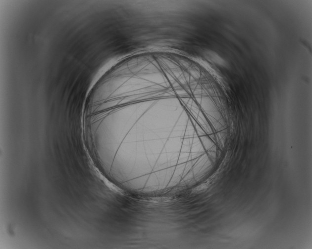 X0000097601294200802290723