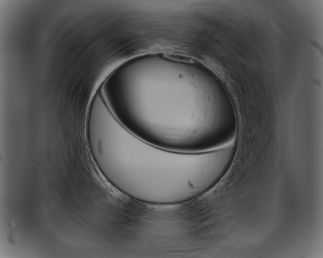 X0000097601296200802290722