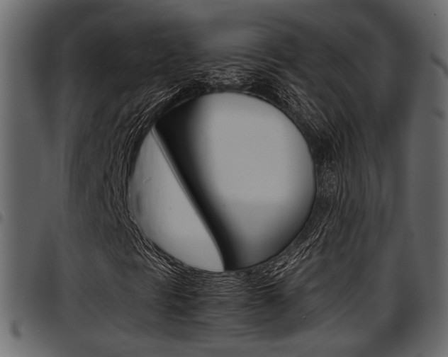 X0000097601297200802290722