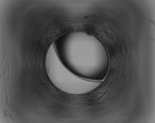 X0000097601298200802290722
