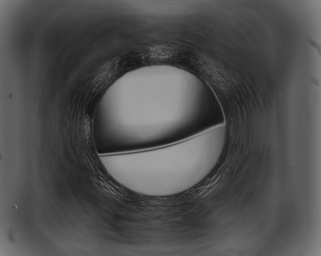 X0000097601299200802290722