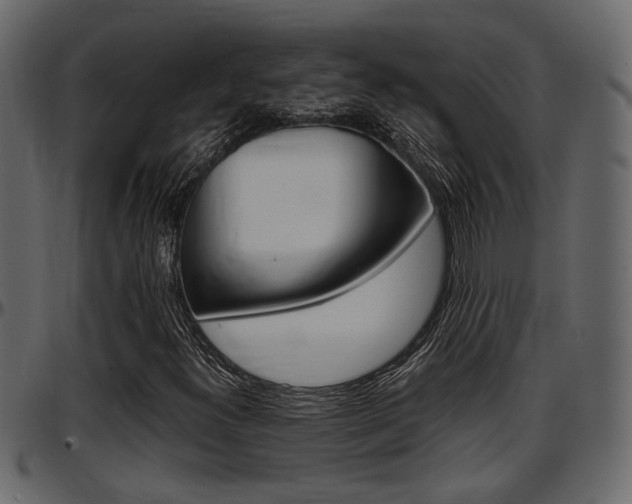 X0000097601300200802290722