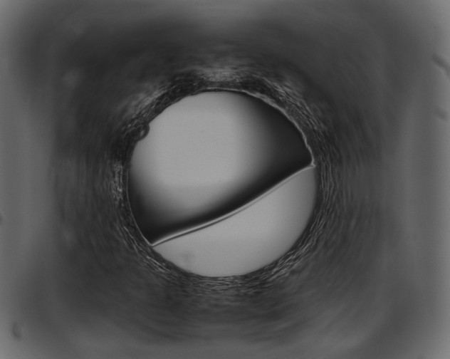 X0000097601301200802290722