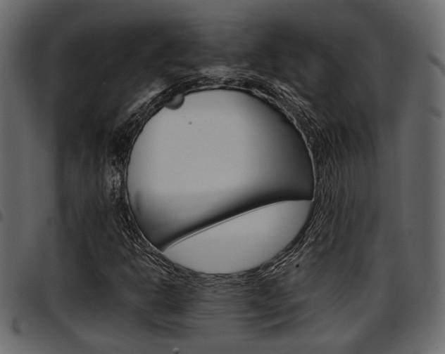 X0000097601302200802290722