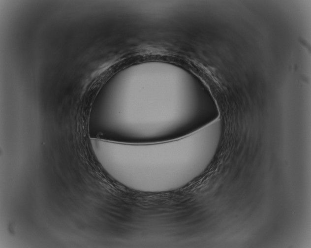 X0000097601303200802290722