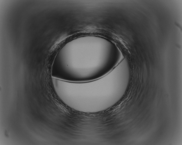 X0000097601304200802290722
