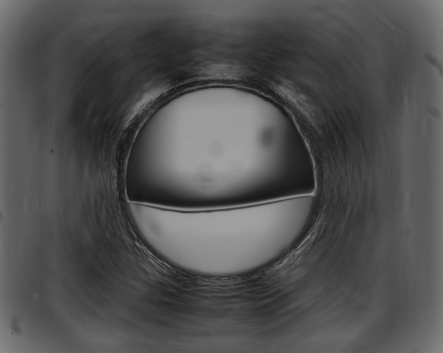 X0000097601307200802290722