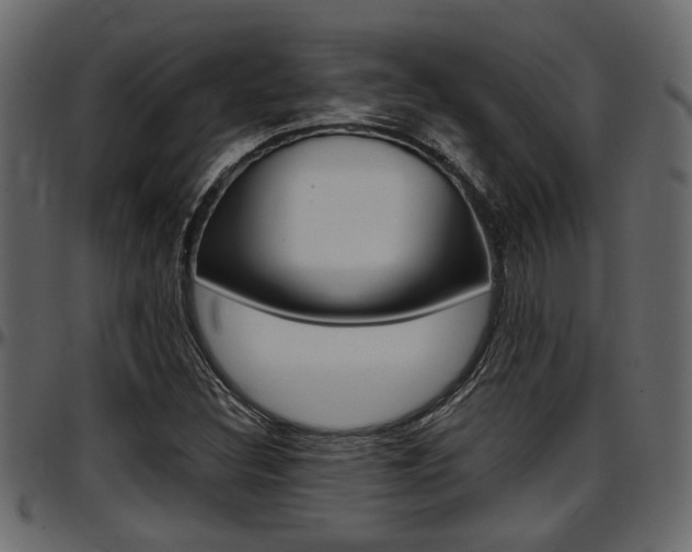 X0000097601308200802290722