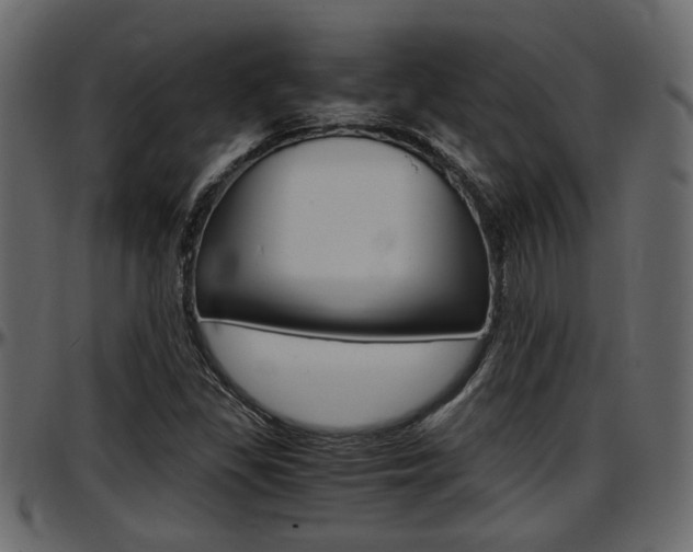 X0000097601309200802290722