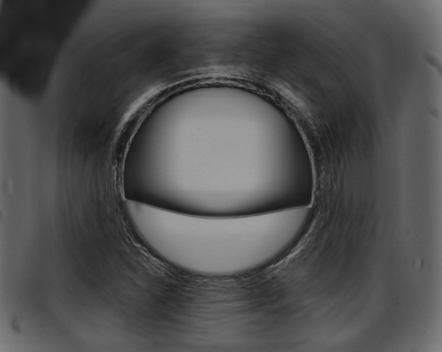 X0000097601310200802290722