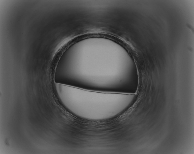 X0000097601311200802290722