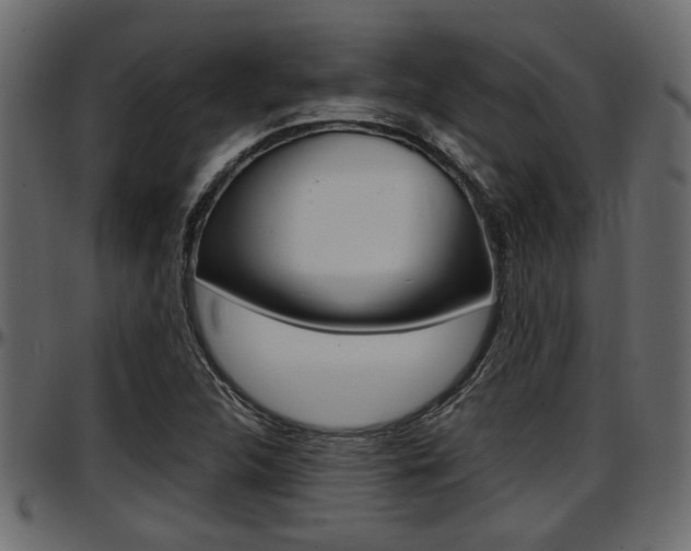 X0000097601312200802290722