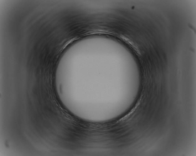 X0000097601313200802290722