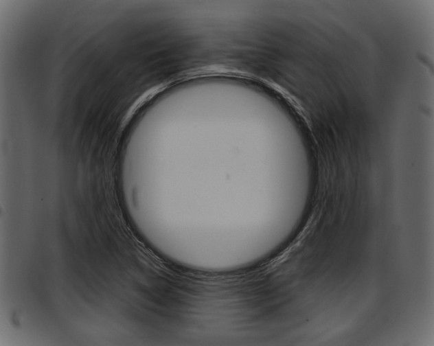X0000097601314200802290722