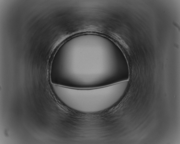 X0000097601316200802290722