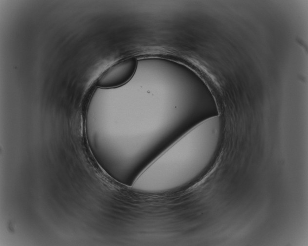 X0000097601317200802290722