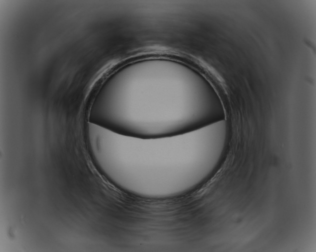 X0000097601318200802290722