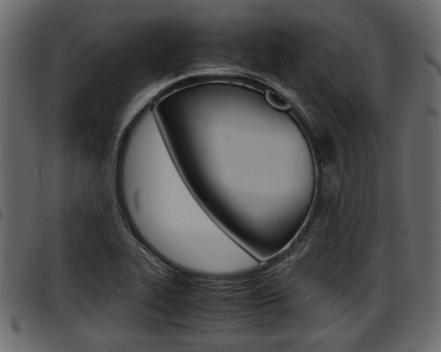 X0000097601319200802290722