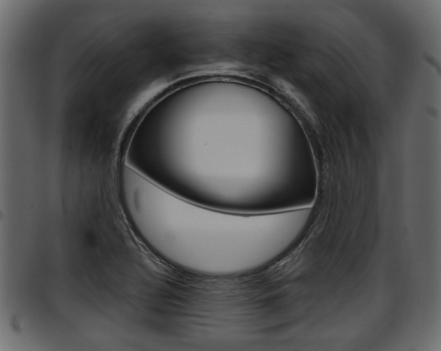 X0000097601320200802290722
