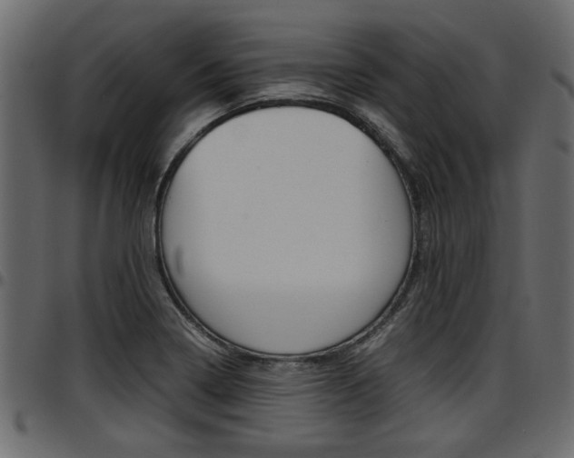 X0000097601322200802290722