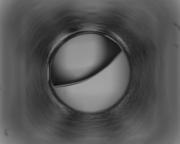 X0000097601323200802290722