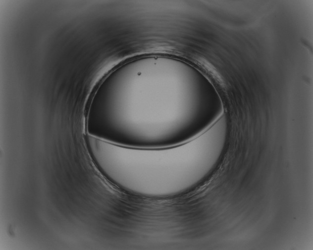 X0000097601324200802290722