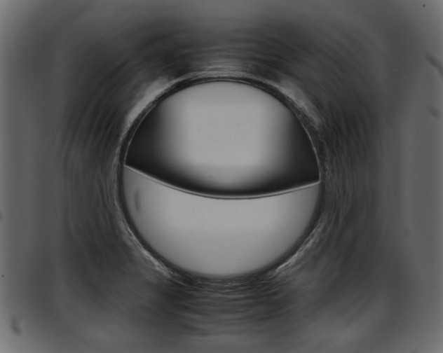 X0000097601325200802290722