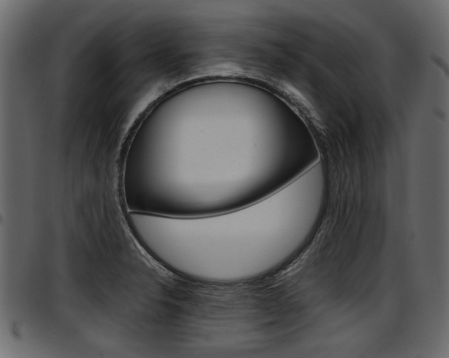 X0000097601326200802290722