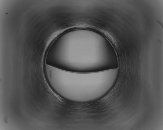 X0000097601327200802290722