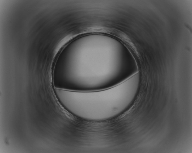 X0000097601328200802290722