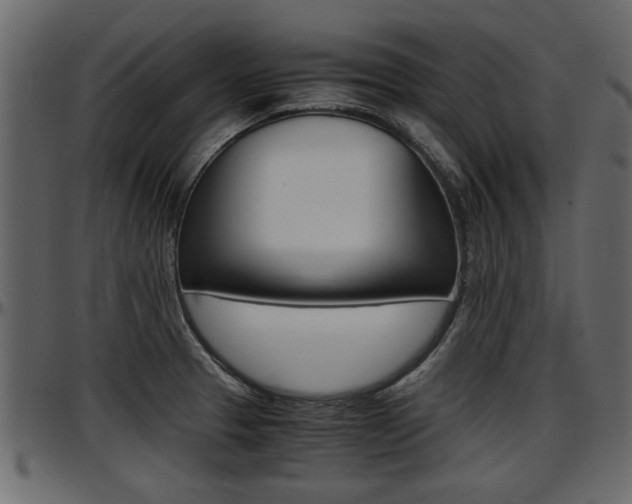 X0000097601329200802290722