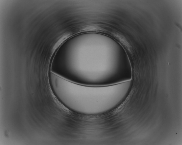 X0000097601330200802290722