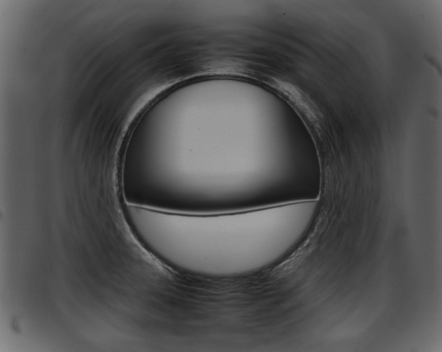 X0000097601331200802290722
