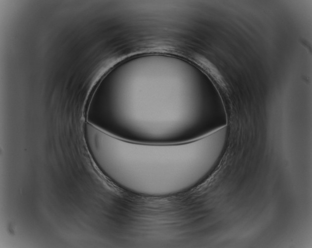 X0000097601332200802290722