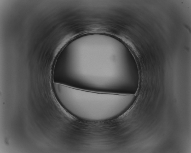 X0000097601333200802290722