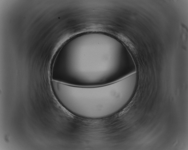 X0000097601334200802290722