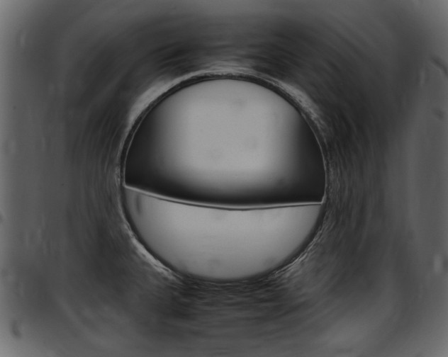 X0000097601335200802290722