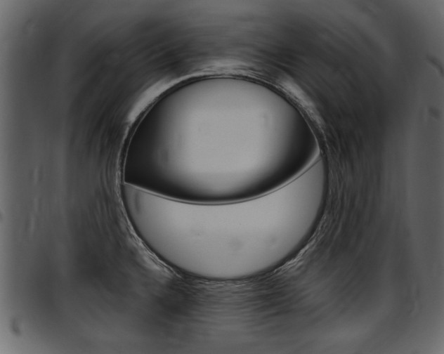 X0000097601336200802290722