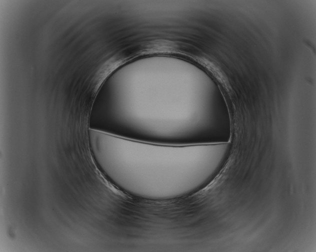 X0000097601337200802290722