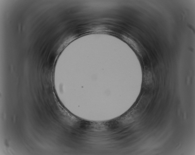 X0000097601338200802290722