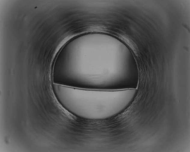 X0000097601339200802290722