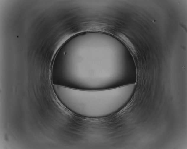 X0000097601340200802290722