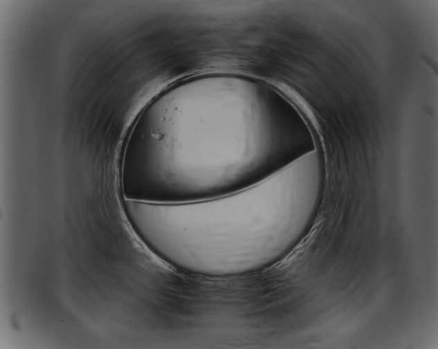 X0000097601341200802290722