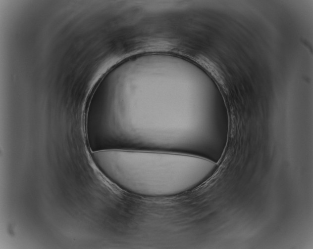 X0000097601342200802290722