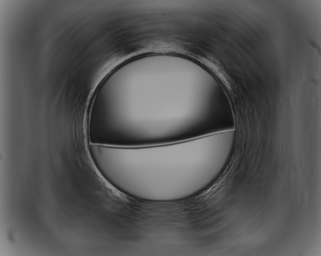 X0000097601343200802290722