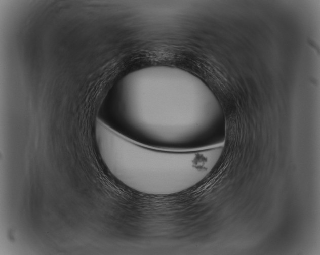 X0000097601345200802290722