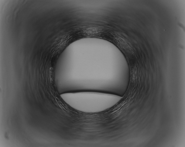 X0000097601346200802290722
