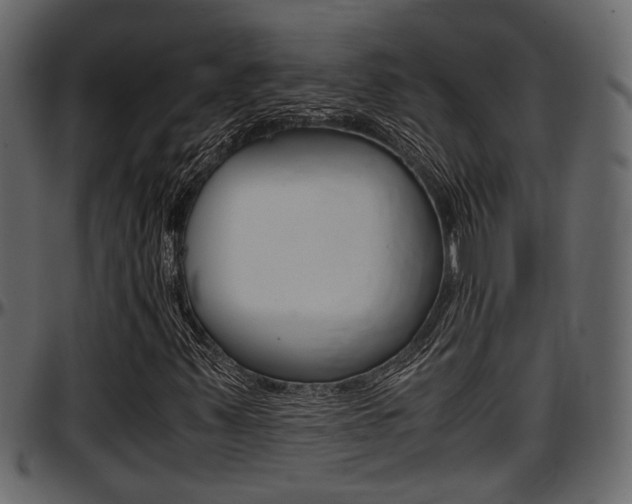 X0000097601347200802290722