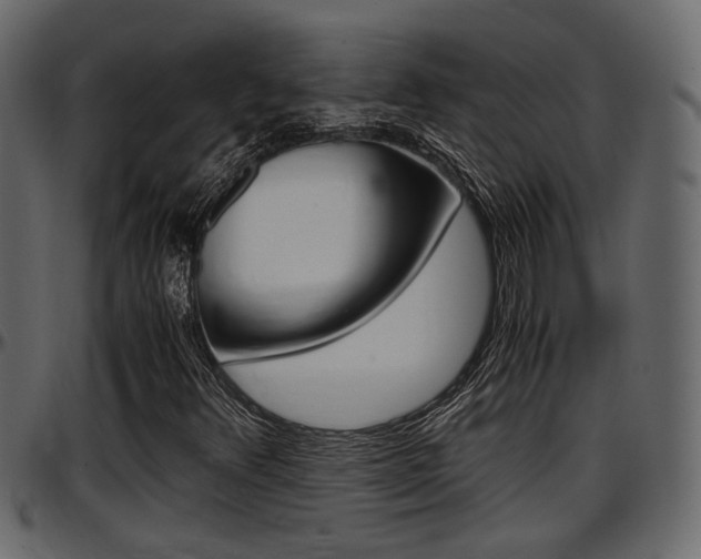 X0000097601348200802290722