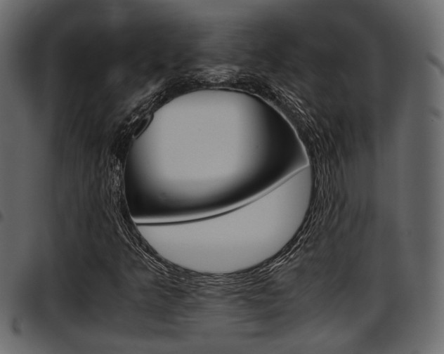 X0000097601349200802290722